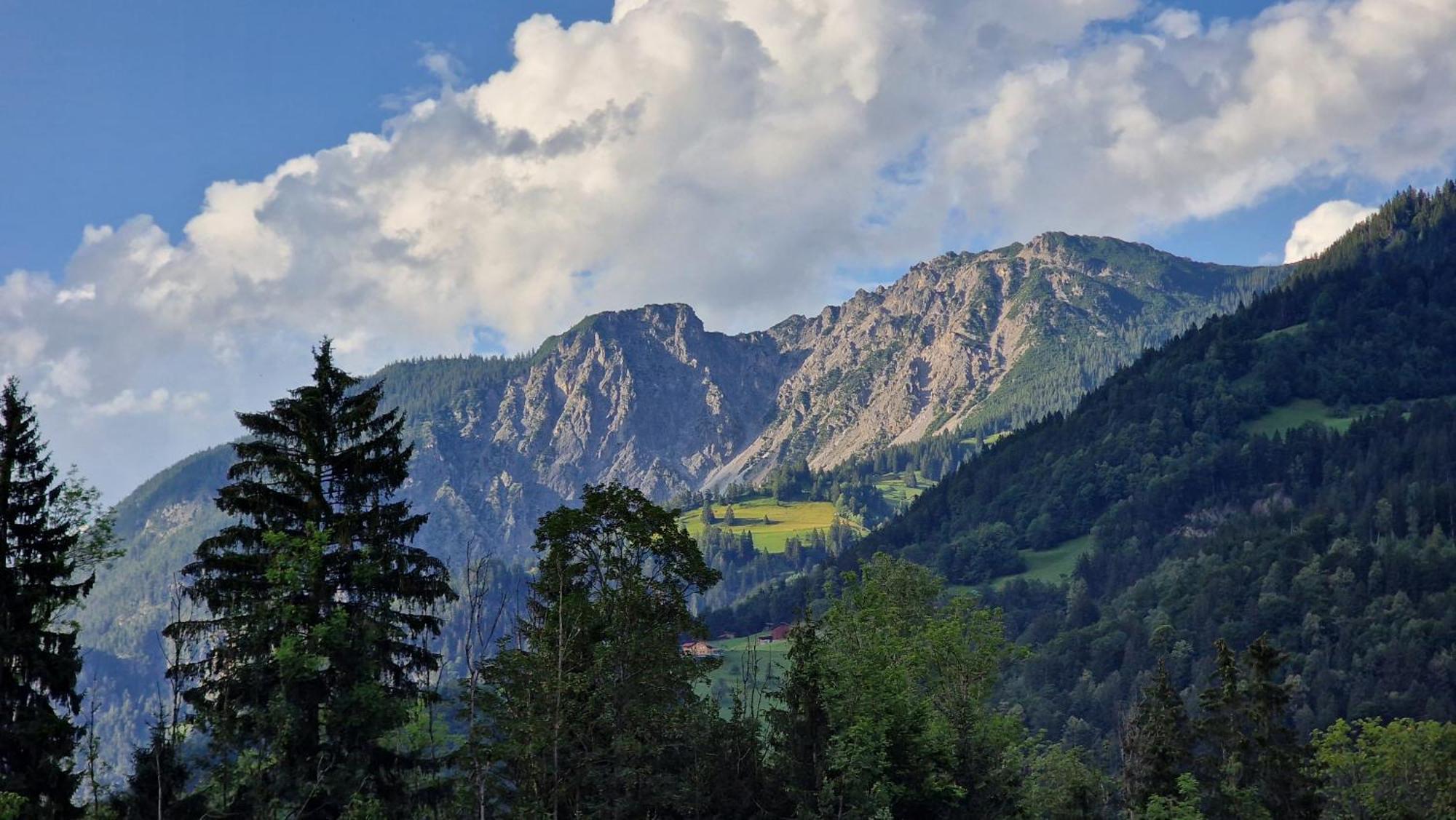 Homy Montavista - 300M Zur Golmerbahn Vandans Exteriör bild